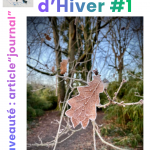 premier article de la série journal